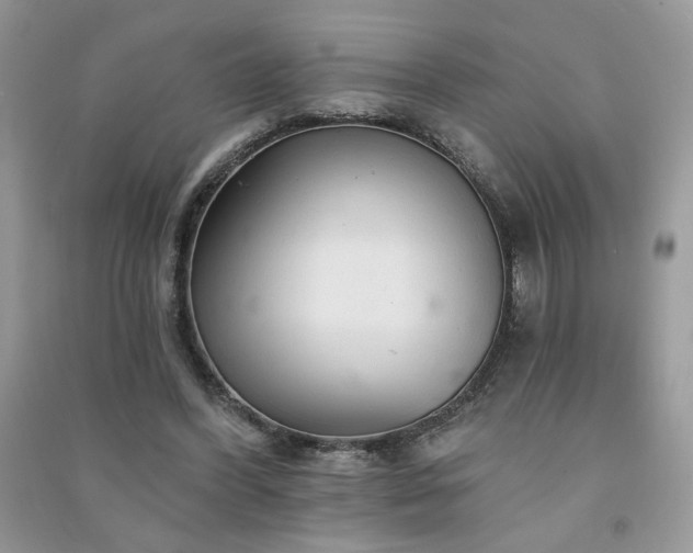 X0000091290396200708101250