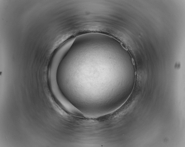 X0000091290397200708101250