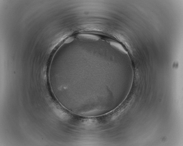 X0000091290398200708101250