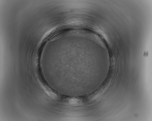 X0000091290400200708101250