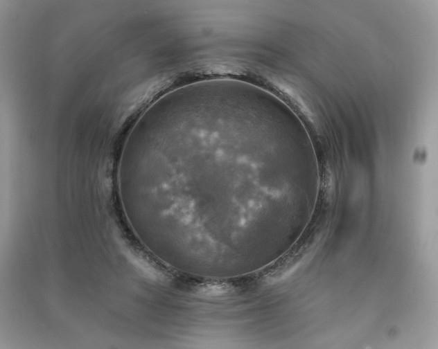 X0000091290402200708101250