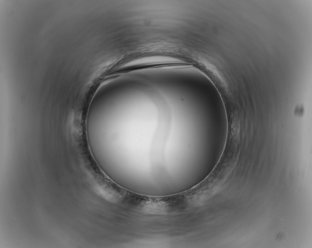 X0000091290403200708101250