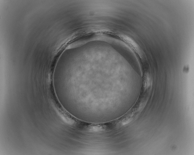 X0000091290405200708101250