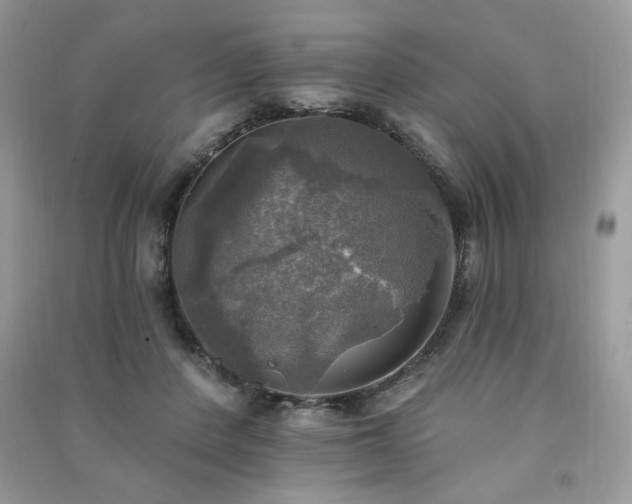 X0000091290408200708101250