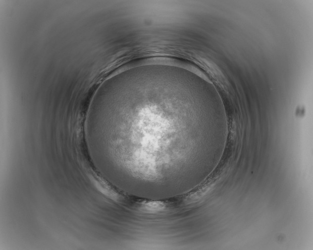 X0000091290409200708101250