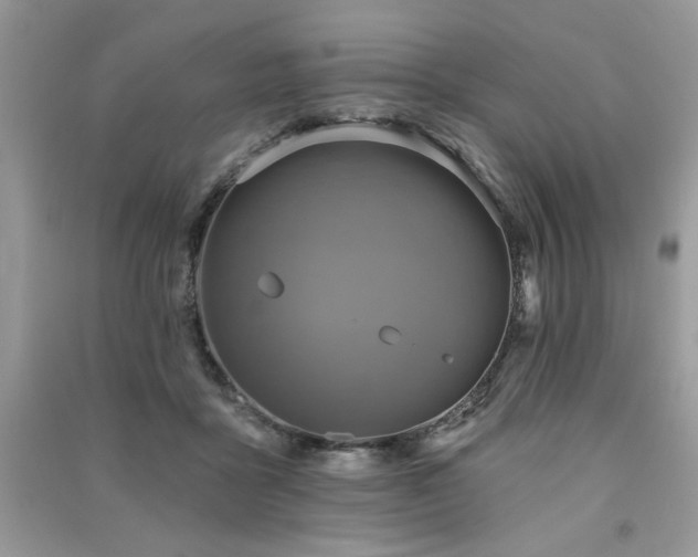 X0000091290411200708101250