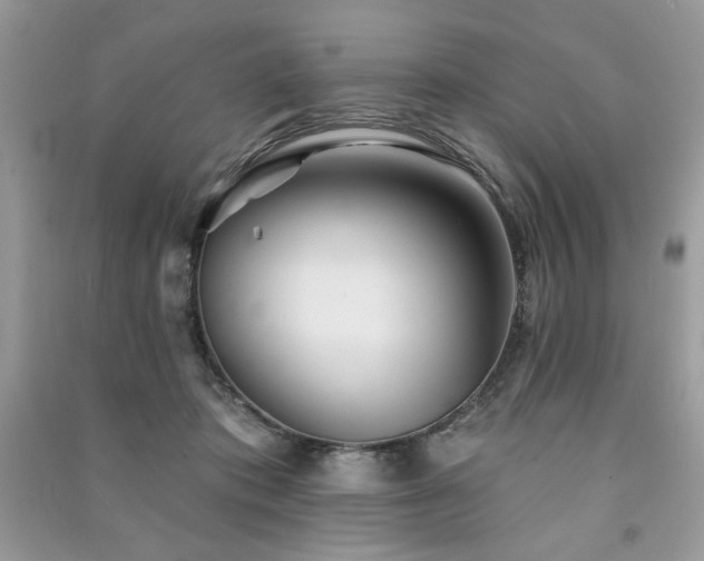 X0000091290413200708101250