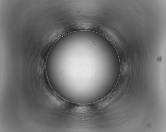 X0000091290414200708101250