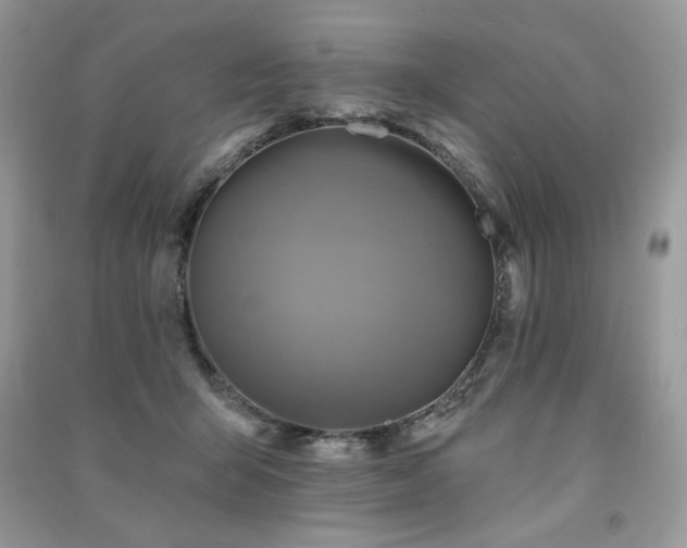 X0000091290415200708101250