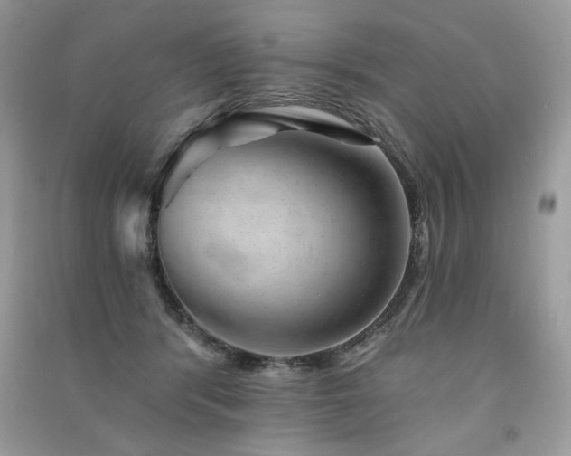 X0000091290416200708101250