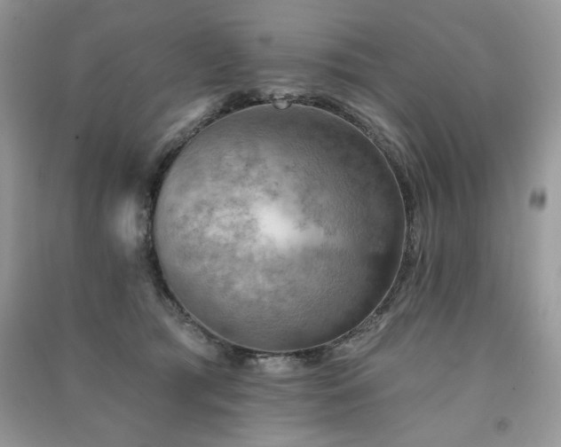 X0000091290417200708101250