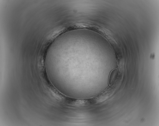 X0000091290418200708101250