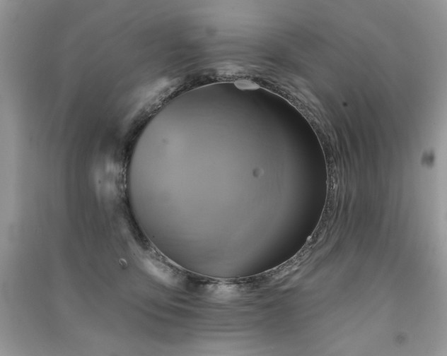 X0000091290419200708101250