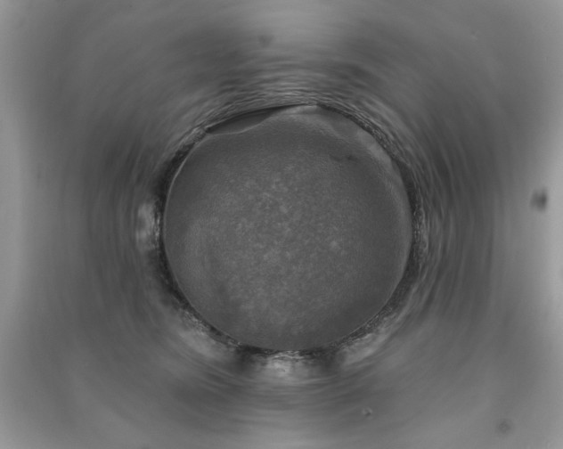 X0000091290420200708101250