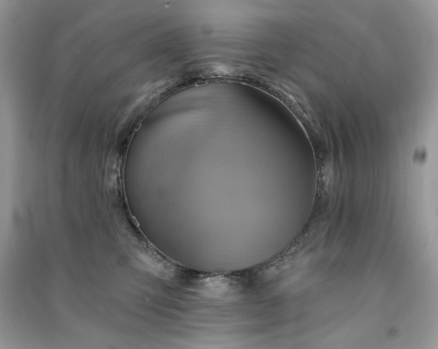 X0000091290423200708101250