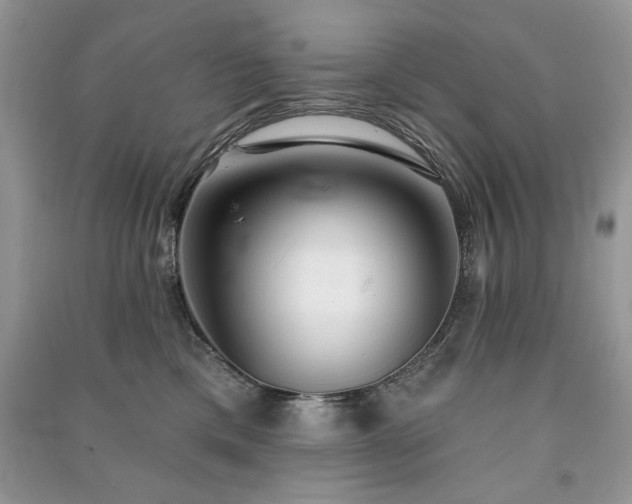 X0000091290425200708101250