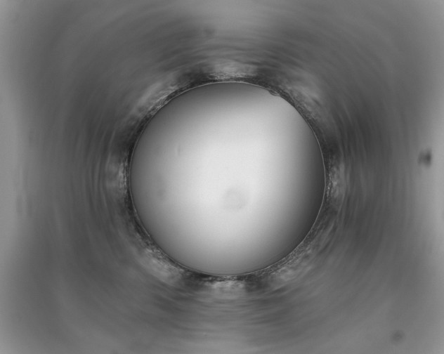 X0000091290426200708101250