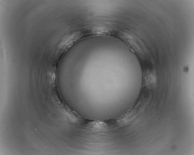 X0000091290427200708101250