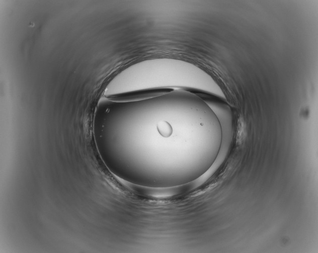 X0000091290428200708101250