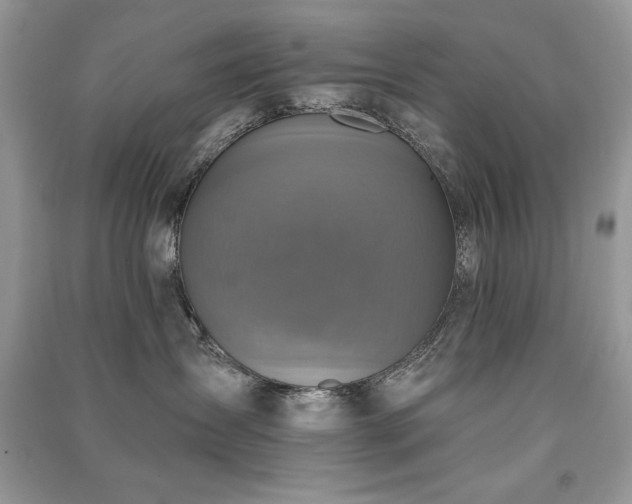 X0000091290431200708101250