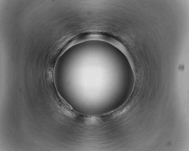 X0000091290432200708101250