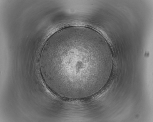 X0000091290433200708101249