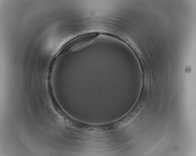 X0000091290434200708101249