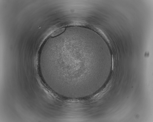 X0000091290435200708101249