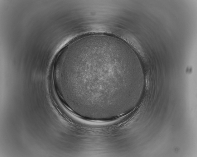 X0000091290436200708101249