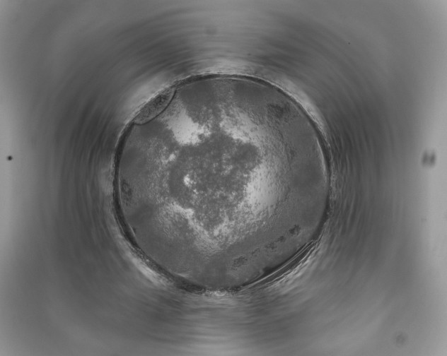 X0000091290437200708101249