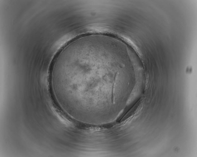 X0000091290439200708101250