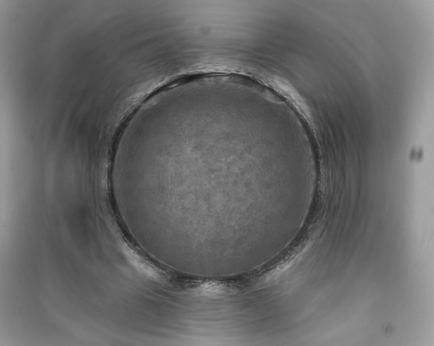 X0000091290441200708101250