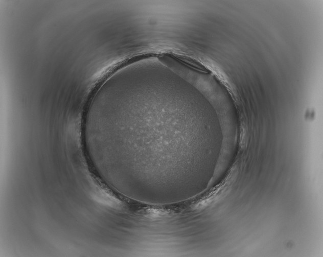 X0000091290442200708101250