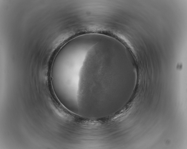 X0000091290443200708101250