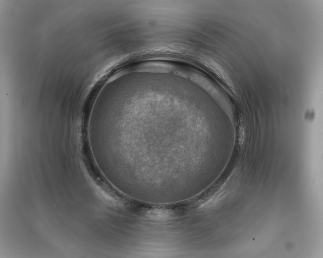 X0000091290444200708101250