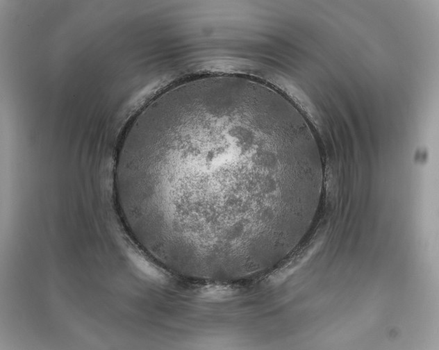 X0000091290445200708101250