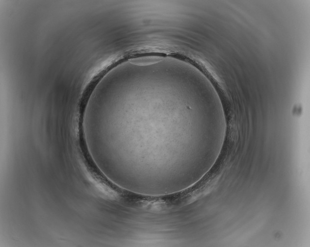 X0000091290446200708101250