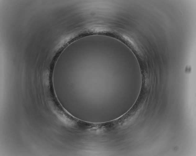 X0000091290447200708101250