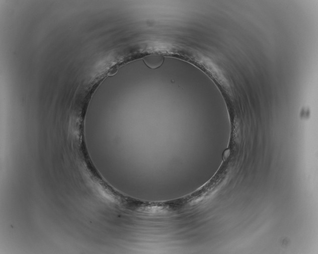 X0000091290449200708101250