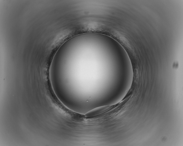 X0000091290450200708101250