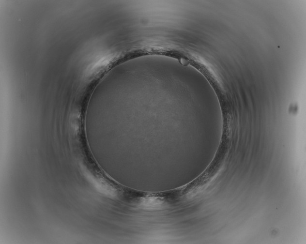 X0000091290451200708101250