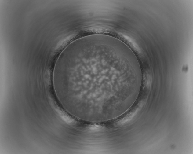 X0000091290453200708101250