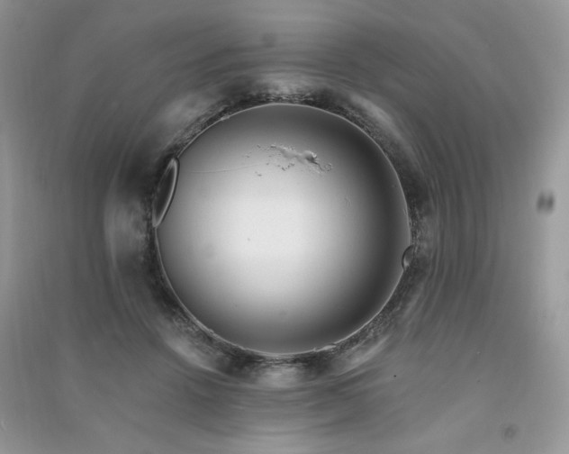 X0000091290456200708101250