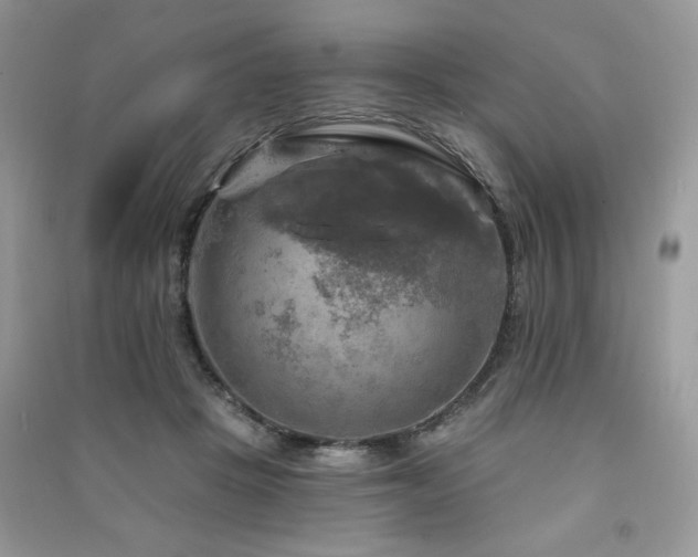 X0000091290457200708101250