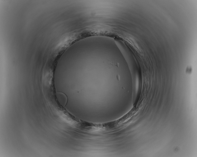 X0000091290458200708101250