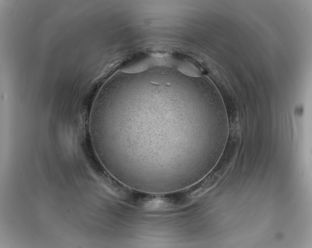 X0000091290460200708101250