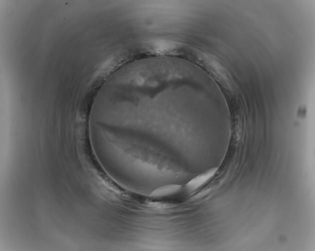 X0000091290461200708101250