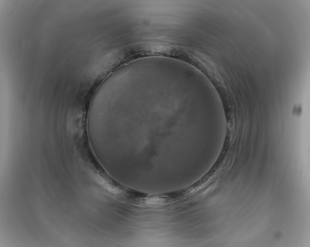 X0000091290462200708101250