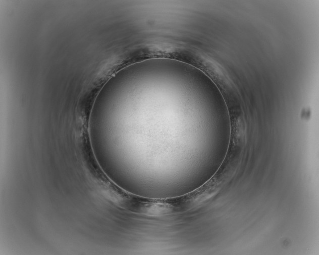 X0000091290463200708101250