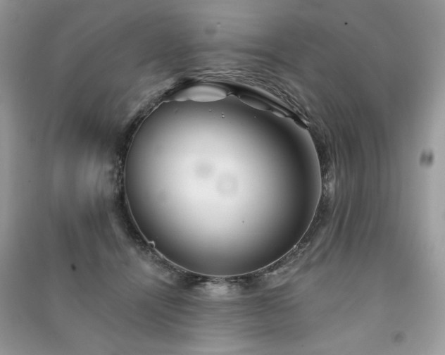 X0000091290464200708101250